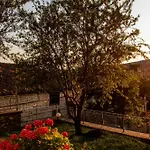The Dream * Kastoria