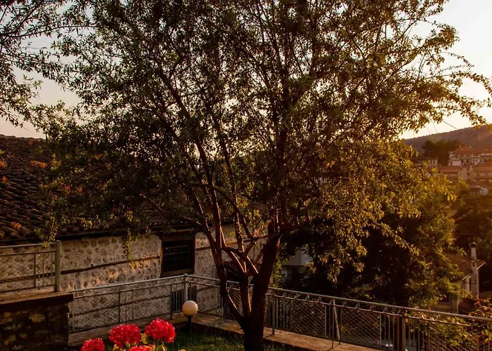 The Dream * Castória