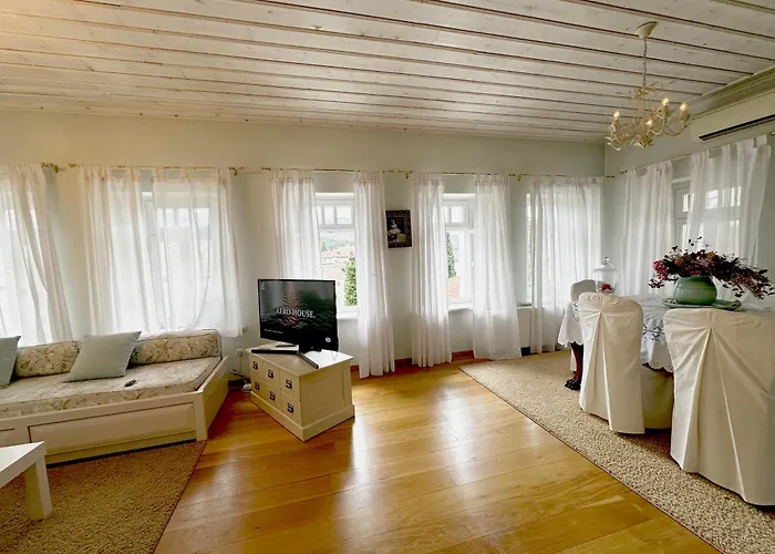 The Dream * Castória